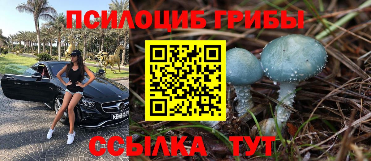 Альметьевск  Галлюциногенные грибы GOLDEN TEACHER  Вход с VPN  Псилоцибиновые грибы Cubensis 