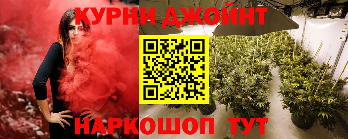 Бошки Шишки планчик  Шишки марихуана план  Бошки Шишки конопля  Вход с VPN  Альметьевск 